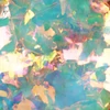 Kép 2/2 - RAINBOW FLAKES